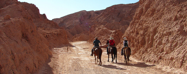Tour a cavalo pelo Valle de La Muerte