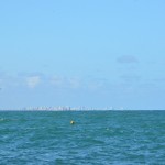 Vista de Recife desde a Praia de Calhetas