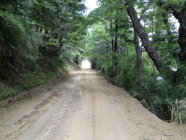 Parque Nacional Lanin pela ruta RP 62
